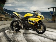 Мотоцикл Yamaha YZF 1000 R1 Roberts Replica 2011 фото