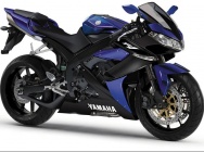 Мотоцикл Yamaha YZF 1000 R1 2006 фото