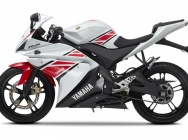 Мотоцикл Yamaha YZF-R 125 50TH 2012 фото