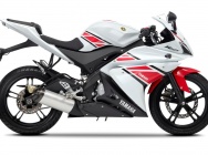 Мотоцикл Yamaha YZF-R 125 50TH 2012 фото