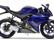Мотоцикл Yamaha YZF-R 125  Race-Blu Special Edition 2013 фото