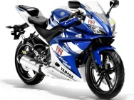 Мотоцикл Yamaha YZF-R 125 Team Yamaha Race Replica 2009 фото