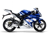 Мотоцикл Yamaha YZF-R 125 Team Yamaha Race Replica 2009 фото