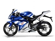 Мотоцикл Yamaha YZF-R 125 Team Yamaha Race Replica 2009 фото
