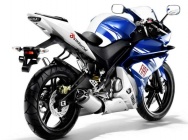 Мотоцикл Yamaha YZF-R 125 Team Yamaha Race Replica 2009 фото