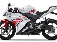 Мотоцикл Yamaha YZF-R 125 WGP 50th Anniversary 2012 фото