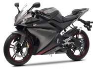 Мотоцикл Yamaha YZF-R125 2013 фото