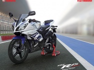 Мотоцикл Yamaha YZF R15 2013 фото