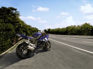 Мотоцикл Yamaha YZF-R6 EU 2010 фото