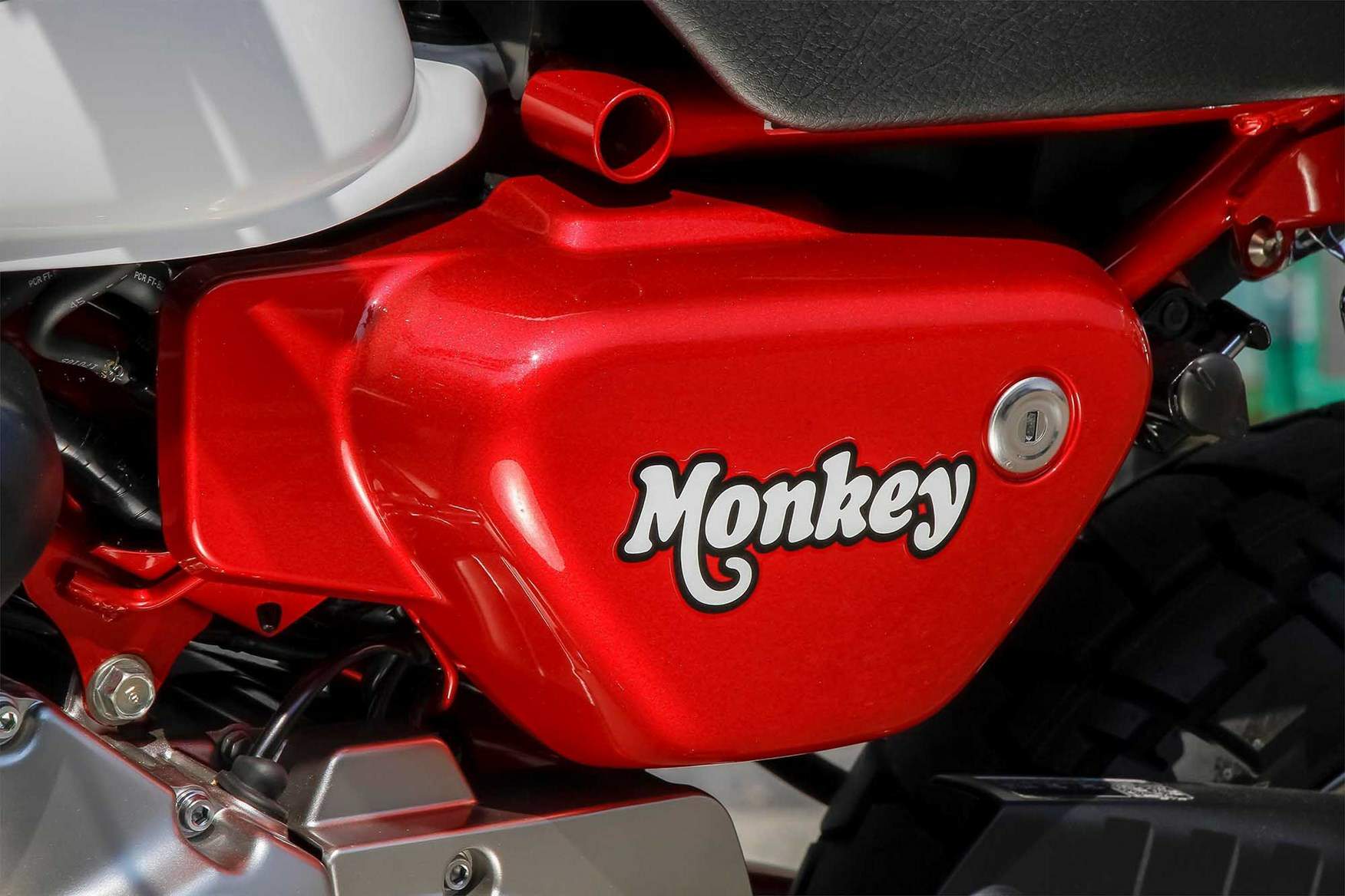 Мотоцикл Honda Monkey 125 ABS 2018 фото