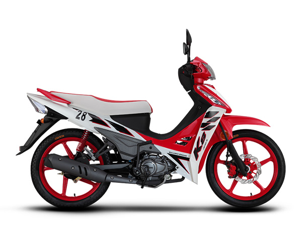 Мотоцикл Jianshe JS110-5 Racing 2014 фото