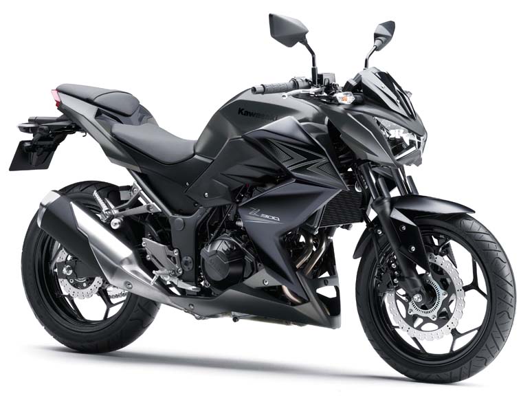 Мотоцикл Kawasaki Z 300 2015 фото