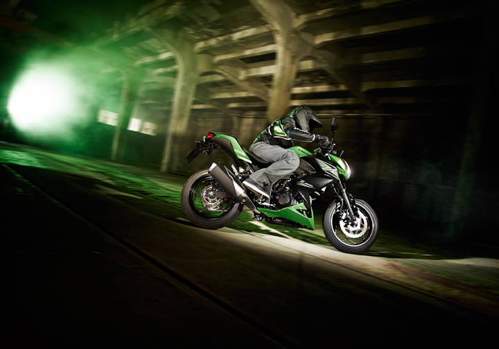 Мотоцикл Kawasaki Z 300 2015 фото