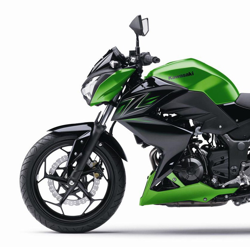 Мотоцикл Kawasaki Z 300 2019 фото