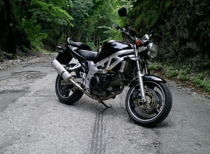 Мотоцикл Suzuki SV 650 2001 фото